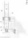 Fig. 07 - Firearm Delay Mechanism