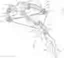 Fig. 01 - Narrow crossbow with large power stroke