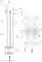 Fig. 05 - Multiple-shot crossbow
