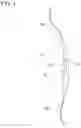 Fig. 02 - Archery cushion plunger mounting device