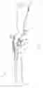 Fig. 02 - Muzzleloader barrel and system