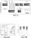 Fig. 09 - Core-shell nanofiber textiles for strain sensing, and methods of their manufacture