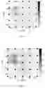 Fig. 19 - Four-dimensional imaging method for structural damage based on time-invariant characteristic signal