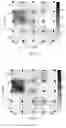 Fig. 20 - Four-dimensional imaging method for structural damage based on time-invariant characteristic signal