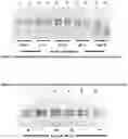 Fig. 03 - SIMPLE FIXATION AND STABLISATION