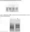 Fig. 06 - SIMPLE FIXATION AND STABLISATION