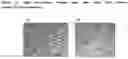 Fig. 07 - SIMPLE FIXATION AND STABLISATION
