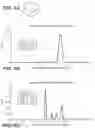Fig. 08 - Analytical ultracentrifugation for characterization of recombinant viral particles