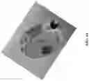 Fig. 11 - Flow cell, read head, and skid attachment
