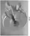 Fig. 16 - Flow cell, read head, and skid attachment