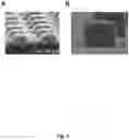 Fig. 06 - Assay with amplification