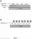 Fig. 07 - Assay with amplification