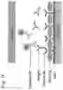 Fig. 19 - Assay with amplification