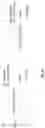 Fig. 23 - Assay with amplification
