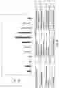 Fig. 29 - Assay with amplification