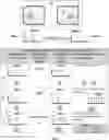 Fig. 01 - Method and a system for XRF marking and reading XRF marks of electronic systems