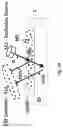 Fig. 09 - Method and a system for XRF marking and reading XRF marks of electronic systems