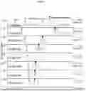 Fig. 05 - Method and system of identifying and quantifying antibody fragmentation