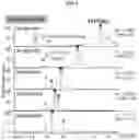 Fig. 10 - Method and system of identifying and quantifying antibody fragmentation
