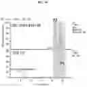 Fig. 19 - Method and system of identifying and quantifying antibody fragmentation