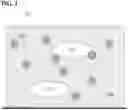 Fig. 02 - Molecularly imprinted polymer sensors