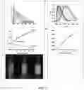 Fig. 03 - Detection of adulterated gasoline using an environmentally sensitive photoluminescent molecular probe
