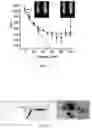 Fig. 05 - Detection of adulterated gasoline using an environmentally sensitive photoluminescent molecular probe