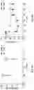 Fig. 09 - Selection of agents modulating gastrointestinal pain