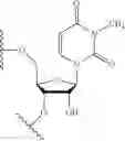 Fig. 16 - SCREENING METHOD FOR SELECTED AMINO-LIPID-CONTAINING COMPOSITIONS