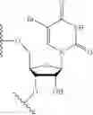 Fig. 17 - SCREENING METHOD FOR SELECTED AMINO-LIPID-CONTAINING COMPOSITIONS