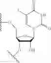 Fig. 18 - SCREENING METHOD FOR SELECTED AMINO-LIPID-CONTAINING COMPOSITIONS