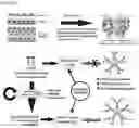 Fig. 04 - Optimizing diagnostics for galactofuranose containing antigens