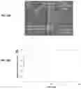 Fig. 22 - Methods for assaying cellular binding interactions