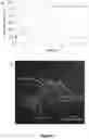 Fig. 09 - Methods for assaying cellular binding interactions