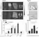 Fig. 04 - Affinity-based detection of ligand-encoded synthetic biomarkers