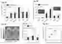 Fig. 05 - Affinity-based detection of ligand-encoded synthetic biomarkers