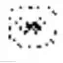 Fig. 03 - Method for rapid accurate dispensing, visualization and analysis of single cells