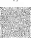 Fig. 23 - Method for rapid accurate dispensing, visualization and analysis of single cells