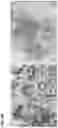 Fig. 12 - Method of identifying treatment responsive non-small cell lung cancer using anaplastic lymphoma kinase (ALK) as a marker