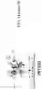 Fig. 40 - Multiplexed proteomics and predictive drug candidate assessment