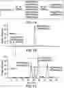 Fig. 02 - Methods for characterizing disulfide bonds