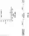Fig. 09 - Methods for characterizing disulfide bonds