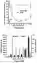 Fig. 03 - COMPOSITIONS AND METHODS FOR ASSESSING PAINFUL DEMYELINATING AND NONDEMYELINATING DISEASES