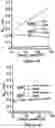 Fig. 06 - COMPOSITIONS AND METHODS FOR ASSESSING PAINFUL DEMYELINATING AND NONDEMYELINATING DISEASES