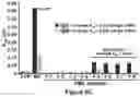 Fig. 09 - COMPOSITIONS AND METHODS FOR ASSESSING PAINFUL DEMYELINATING AND NONDEMYELINATING DISEASES
