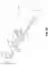 Fig. 06 - Apparatuses for reaction screening and optimization, and methods thereof