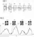 Fig. 02 - Method and device for controlling a magnetic resonance tomography system for magnetic resonance fingerprinting measurements