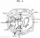 Fig. 06 - User identification device and method using radio frequency radar