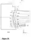 Fig. 04 - Variable beam spacing, timing, and power for vehicle sensors