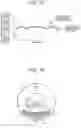 Fig. 18 - Radiation imaging apparatus